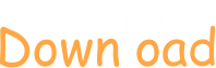 We Provide You